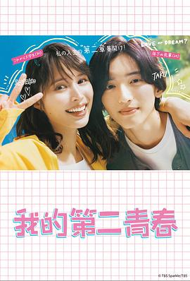 seo关键词优化技